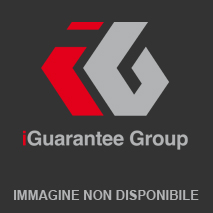 Form - iGuarantee Group